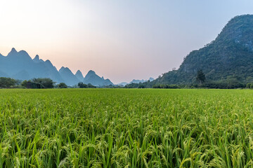 上海市旅行社管理办法的第三章　经营管理