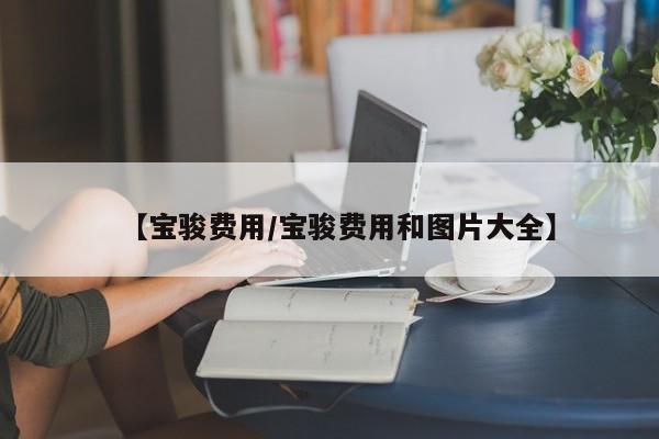 【宝骏费用/宝骏费用和图片大全】
