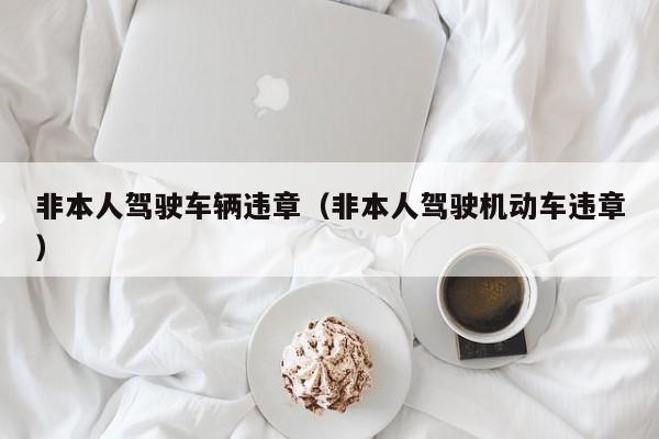 非本人驾驶车辆违章(非本人驾驶机动车违章)