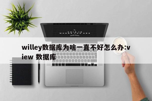 willey数据库为啥一直不好怎么办:view 数据库
