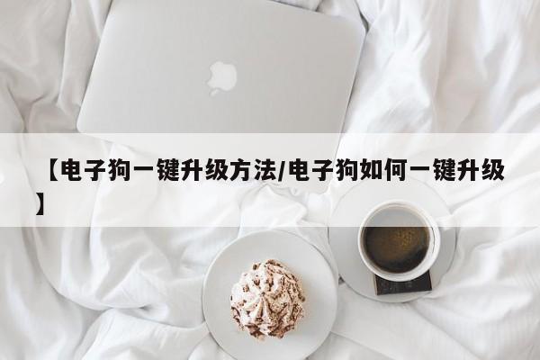 【电子狗一键升级方法/电子狗如何一键升级】