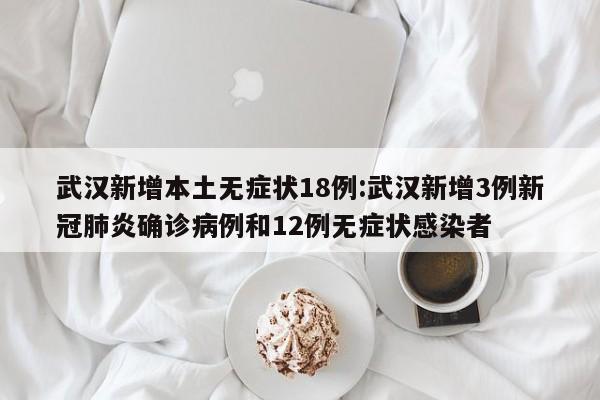 武汉新增本土无症状18例:武汉新增3例新冠肺炎确诊病例和12例无症状感染者