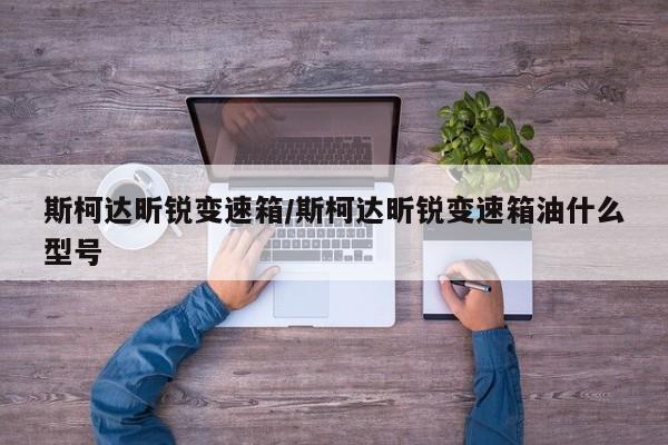 斯柯达昕锐变速箱/斯柯达昕锐变速箱油什么型号