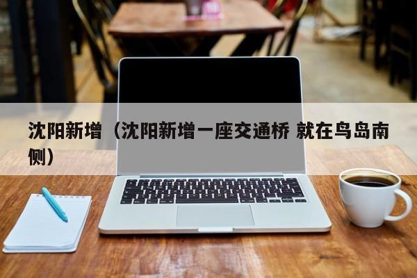 沈阳新增（沈阳新增一座交通桥 就在鸟岛南侧）