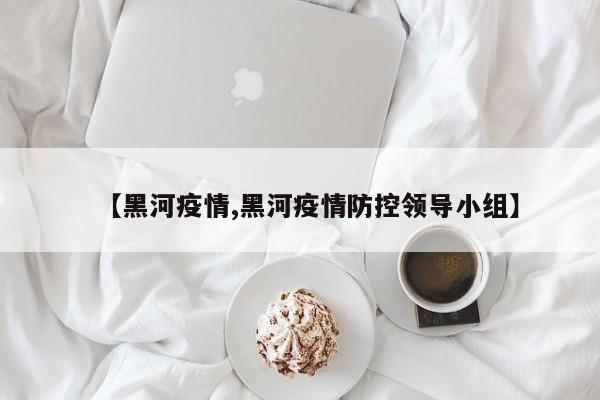 【黑河疫情,黑河疫情防控领导小组】