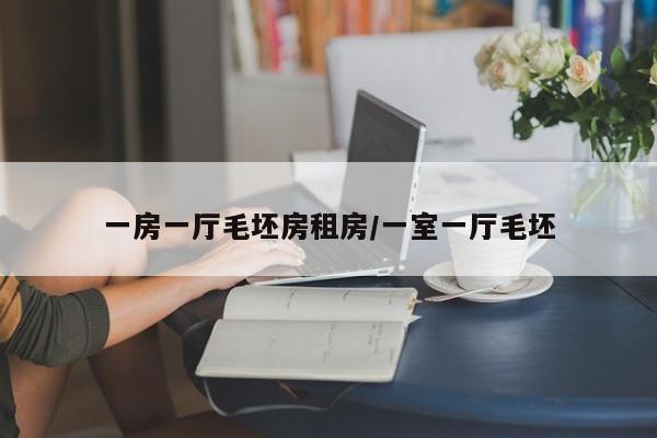 一房一厅毛坯房租房/一室一厅毛坯