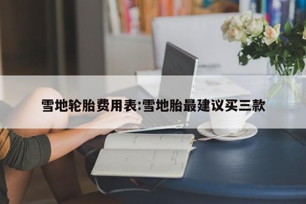 雪地轮胎费用表:雪地胎最建议买三款