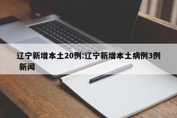 辽宁新增本土20例:辽宁新增本土病例3例 新闻
