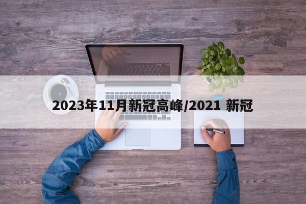 2023年11月新冠高峰/2021 新冠